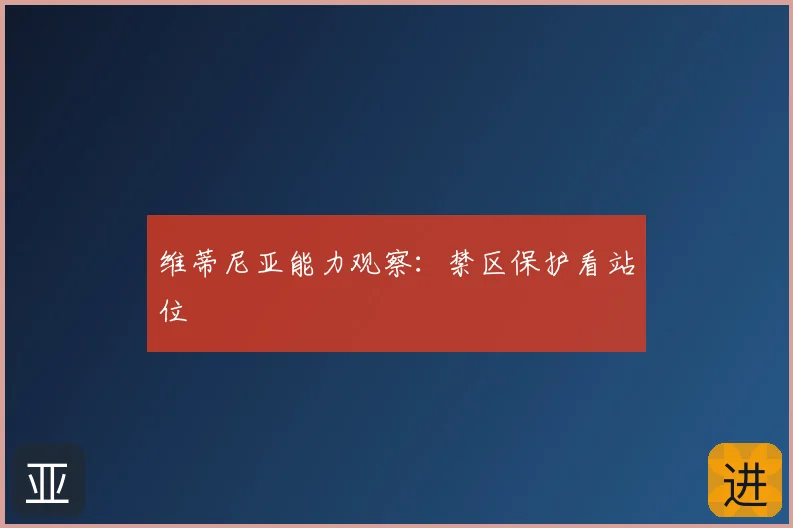 维蒂尼亚能力观察：禁区保护看站位